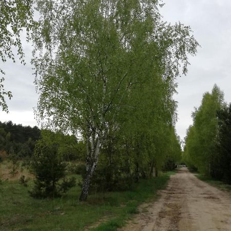 Szydlowiec Anastazewo Экстерьер фото