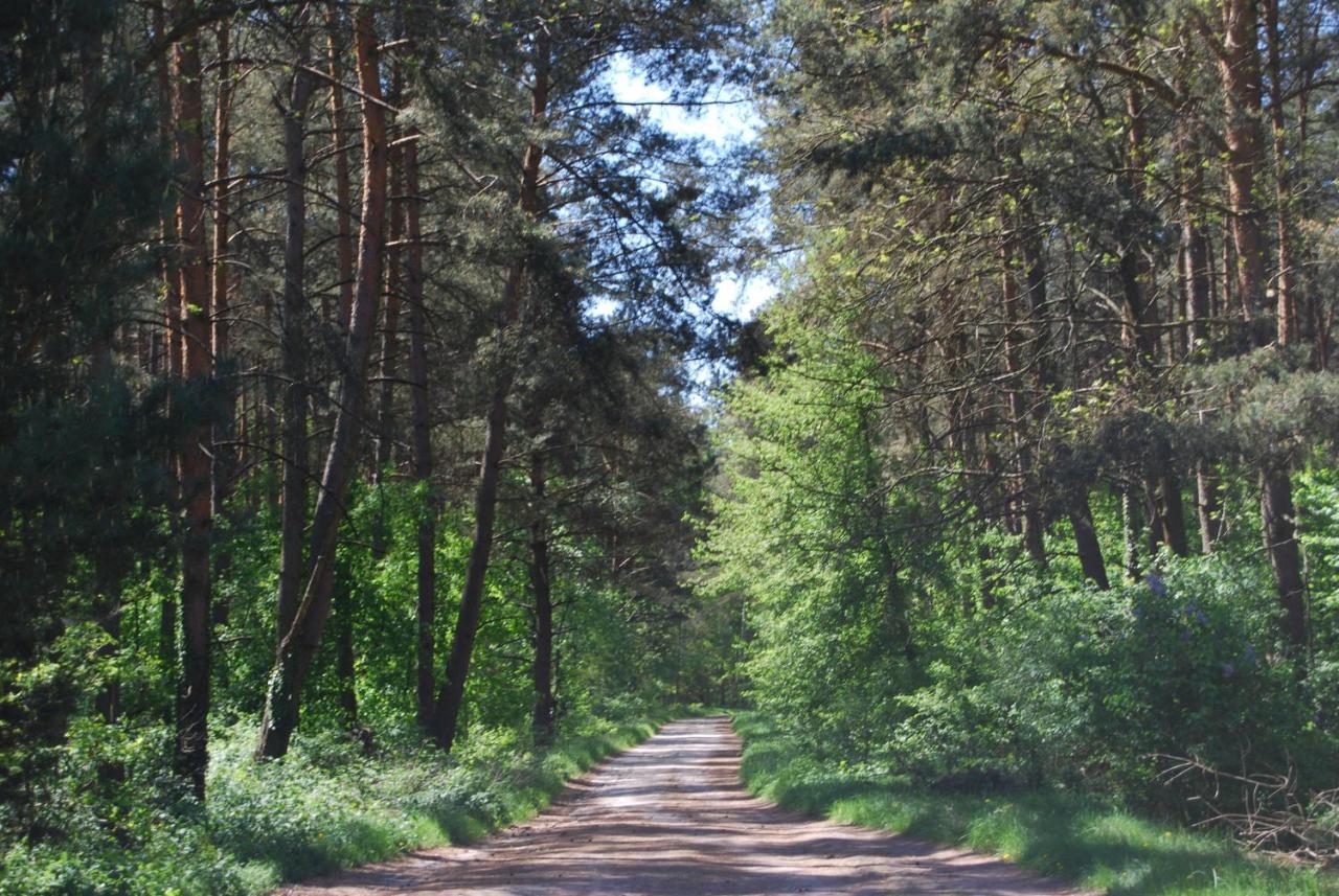 Szydlowiec Anastazewo Экстерьер фото