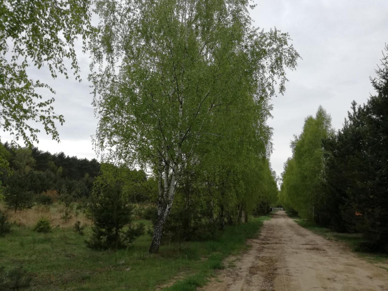 Szydlowiec Anastazewo Экстерьер фото